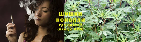 PSILOCYBIN Богородицк